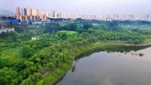 河南平頂山 河南平頂山