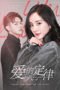 愛的二八定律 愛的二八定律