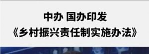 鄉(xiāng)村振興責(zé)任制實施辦法