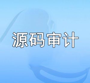 源碼審計 源碼審計
