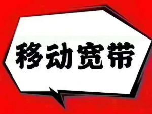 移動寬帶