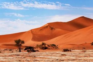 納米布沙漠 納米布沙漠