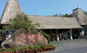 亞龍灣熱帶天堂森林公園