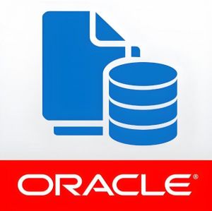 Oracle數(shù)據(jù)庫(kù)