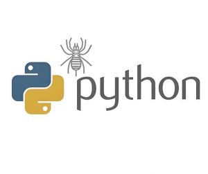 網絡爬蟲 網絡爬蟲