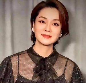 毛阿敏