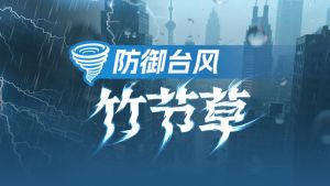 臺風竹節草
