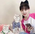小豆花